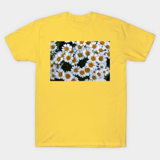 Daisies T-Shirt